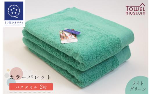 カラーパレット バスタオル2枚セット（ライトグリーン） タオル美術館【I001730BT2LG】