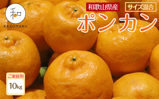 家庭用 森本農園の手選別 ポンカン 10kg 和歌山県産 サイズ混合 ［北海道・沖縄・離島配送不可］［RN33］［2026年1月上旬から順次発送］