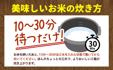 [1.4-361]【令和7年産】【先行予約】野口農園 ななつぼし 5kg お米 北海道産 産地直送 ブランド米 ななつぼし 野口農園《 10月末～（新米収穫出来次第、出荷》　　国産 精米 白米 米 