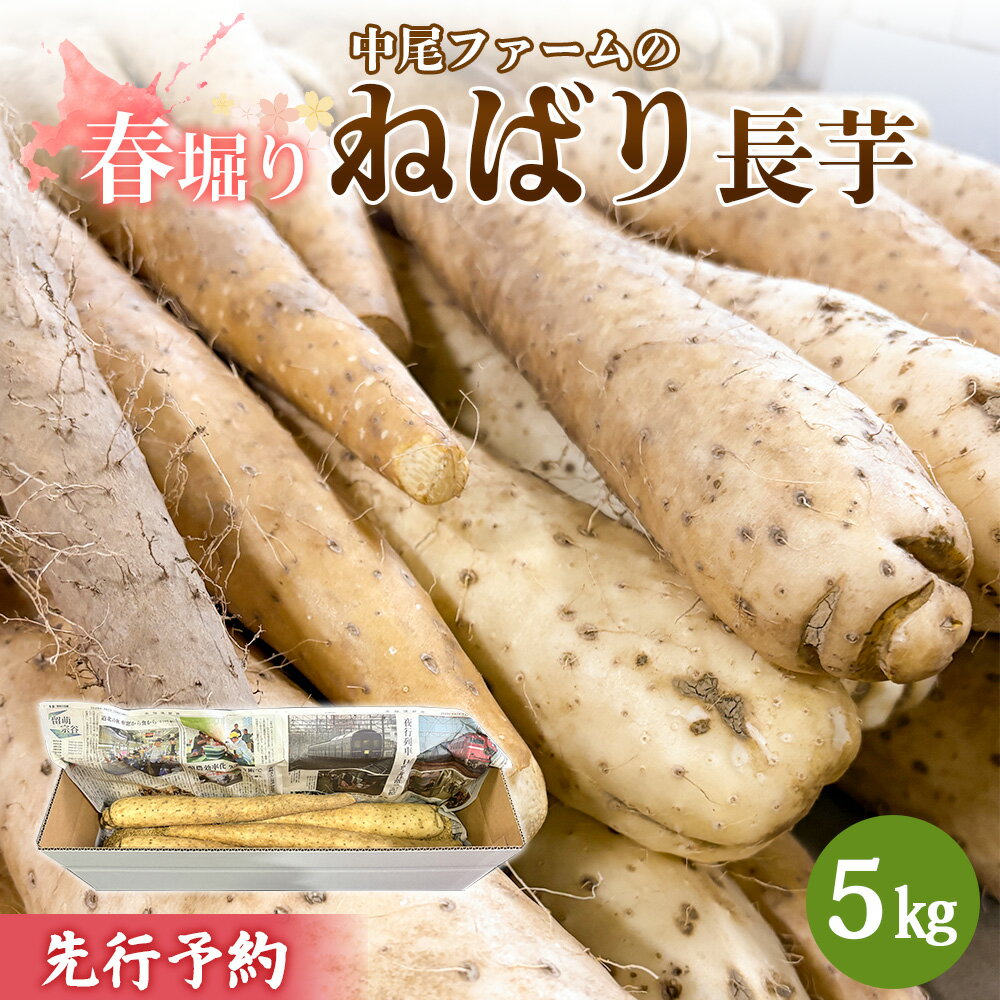 【ふるさと納税】※先行予約開始 【春堀り】中尾ファームのねばり長芋 5kg | 長芋 国産 北海道産 野菜 取り寄せ ねばり長芋 春掘り 山芋 とろろ すりおろし 粘り 素揚げ 野菜 健康 料理 おかず オンライン申請 マイページ ふるさと納税 北海道 羽幌町 中尾ファーム【34003】