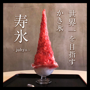 【先行予約】寿氷 いちご 6 ( シックス )  とちぎ の いちご 6種類 食べ比べ セット レギュラー 真岡市 栃木県