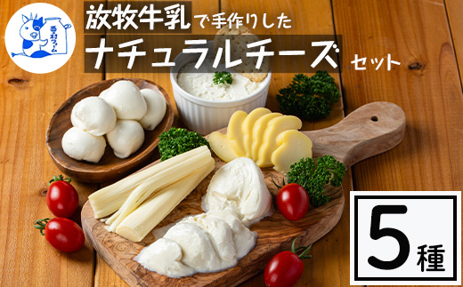 y466 ≪先行予約受付中！2026年4月以降順次発送≫放牧牛乳の手作りチーズセット(5種) 国産 鹿児島県産 湧水町産 乳製品 ちーず 生チーズ モッツァレラチーズ ボッコンチーニ クリームチーズ ストリングチーズ スカモルツァ 調味料 おつまみ おやつ 濃厚 手作り 食べ比べ 詰め合わせ 【西ノ村ファーム】