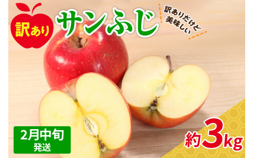 【2025年2月中旬発送】サンふじ 訳あり りんご 青森 3kg 度|選べる配送時期| 五所川原 不揃い