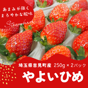 特選「吉見いちご」【やよいひめ】 