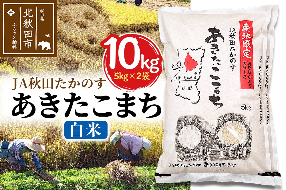 JA秋田たかのす あきたこまち 白米10kg（5kg×2袋）10キロ お米 令和7年産 秋田たかのす農業協同組合|jata-10601