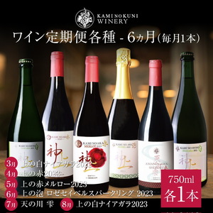 上ノ国ワイナリー「ワイン6ヶ月定期便　各種毎月1本」　750ml×1本　北海道ワイン　ワイン　WINE　wine　定期便　赤ワイン　スパークリングワイン　お家パーティ　プレゼント　贈り物　贈答品