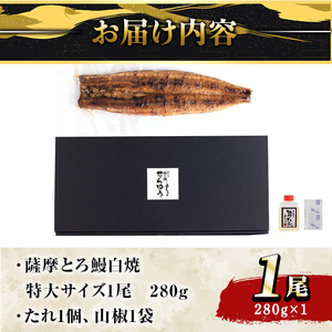 【江口商店監修】薩摩とろ鰻白焼特大サイズ一尾 280g 2519