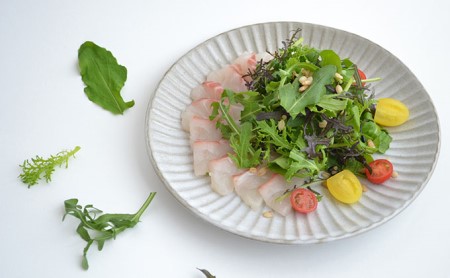 定期便 3回 国産 ハーブ 野菜 詰め合わせ 約 450g 4種 8袋 セット × 3ヶ月 お届け ルッコラ 約 50g × 3袋 リーフトマト 赤からし菜 約 50g × 2袋 リーフマスタード か