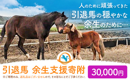 【返礼品なし】引退馬余生支援寄附 30,000円 一般社団法人オープンセサミアライブ 熊本県 南阿蘇村 馬 ウマ 支援 競走馬 引退馬 生活支援 動物愛護 保護 返礼品なし 寄附 牧場 オープンセサミ アニマルサンクチュアリ