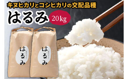 【特Aランク受賞実績あり！】はるみ 20kg(10kg×2袋)【遠藤ファーム】開成町 米 ご飯 白米 お米 特A[BDAF003]