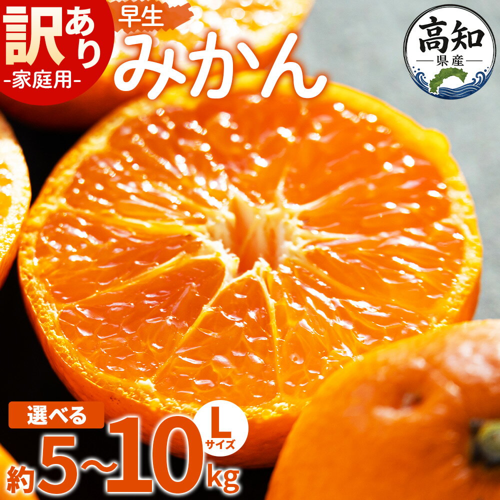 【ふるさと納税】【2026年11月より順次配送】【選べる内容量】家庭用 訳あり 早生みかん（Lサイズ）約5kg/10kg -先行予約 数量限定 大容量 フルーツ 果物 果実 温州みかん ミカン 柑橘 甘い あまい ご自宅用 旬 ギフト 特産品 高知県 香南市【常温】