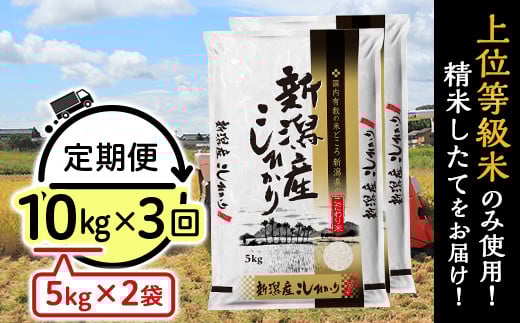 
            31-K103【3ヶ月連続お届け】新潟県産コシヒカリ10kg（5kg×2袋）
          