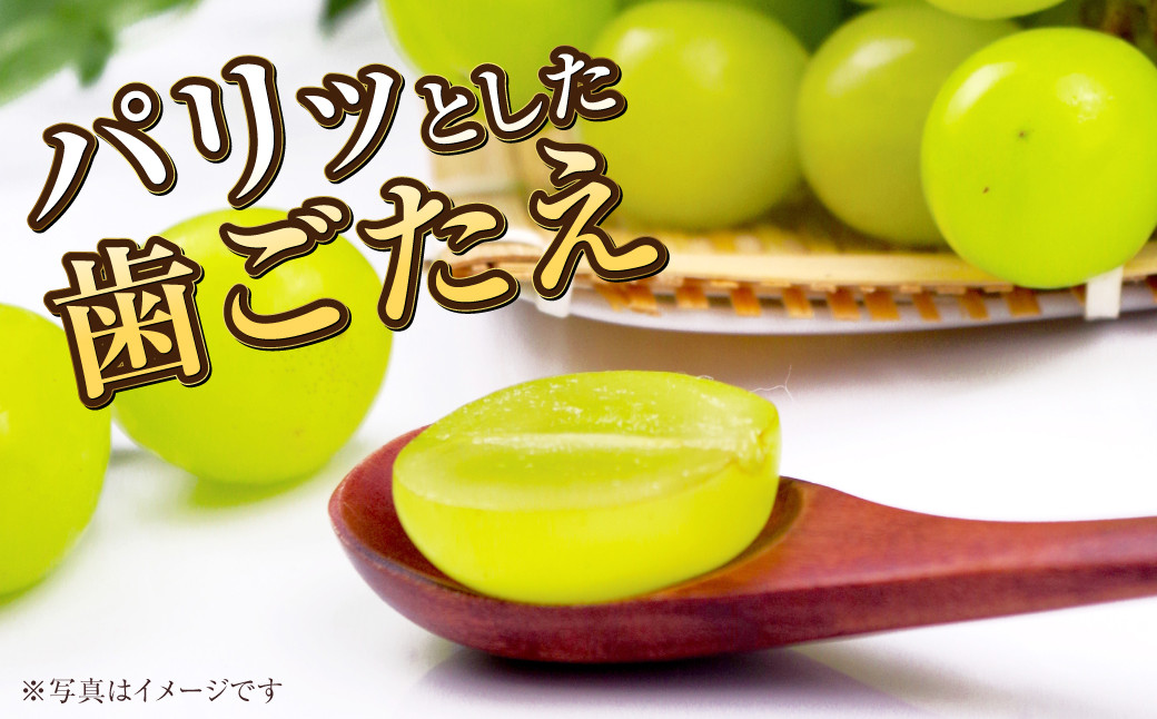 ご家庭用 岡山県産 シャインマスカット 晴王 約800g（400g×2房）