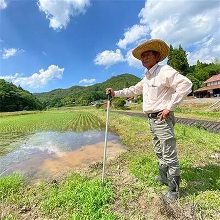 高津川の恵み 特別栽培米ヘルシー元氣米2kg×2袋(4kg)(令和7年産)【1209634】