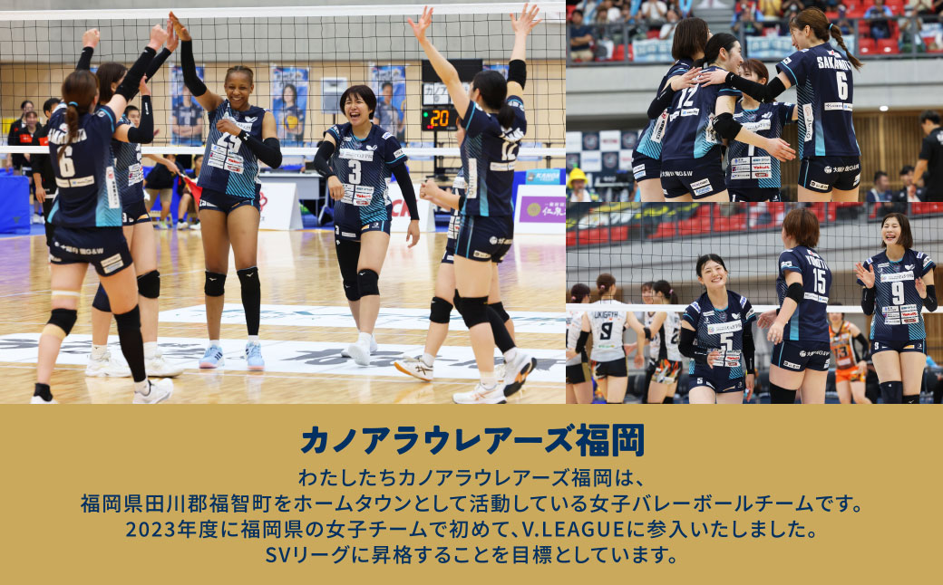 カノアラウレアーズ福岡 オーセンティックユニフォーム（黄緑)