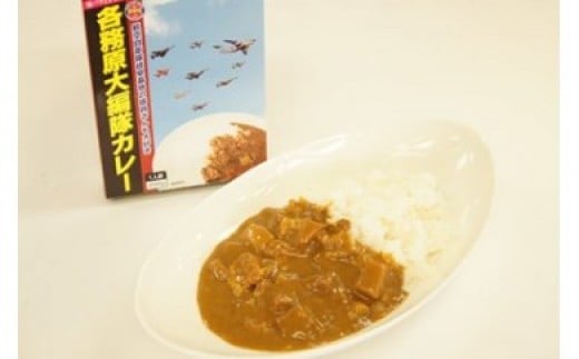 
26 各務原大編隊カレー　１０箱セット
