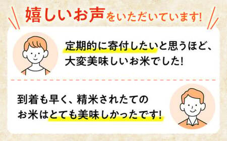 【令和6年産米】泉水の米 こしひかり 3kg 白米 お米 ご飯 コシヒカリ 三次市/泉水ファームふくしま[APAJ005]