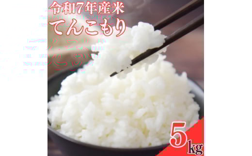 ＜令和7年産米＞てんこもり5kg【1623581】