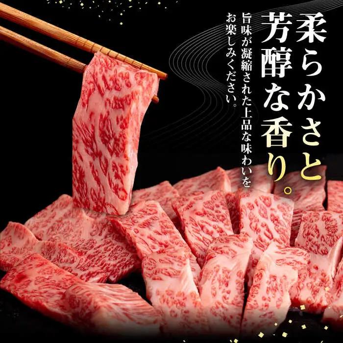 壱岐牛 焼肉用 モモバラ カルビ 500g  JFE058 焼肉