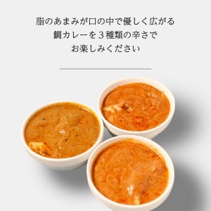 真鯛 カレー 3パック 真鯛