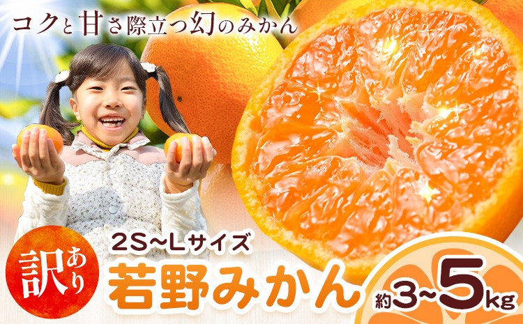 
                  和歌山県産 訳あり 若野みかん (2S～Lサイズ) みかん 選べる内容量 約3kg 約5kg《11月下旬-12月下旬頃出荷》　マルエイ農園 和歌山県 日高川町 果物 フルーツ 訳ありみかん 家庭用 みかん 3kg 5kg みかん
                