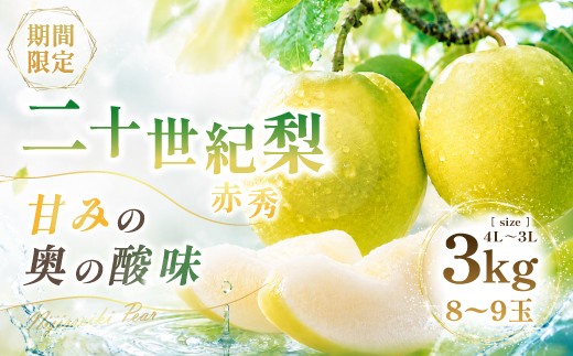 
                  【期間限定】鳥取県産 二十世紀梨 “赤秀” 3kg（8〜9玉/4L～3Lサイズ）
                
