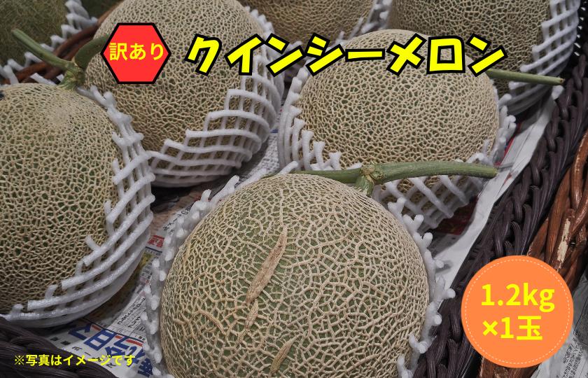 
                  【2027年発送】  訳あり メロン 1玉 クインシーメロン 茨城 果物 メロン めろん 舐瓜 めろん くだもの フルーツ 果実  赤肉 赤肉メロン 舐瓜 1個 国産 めろん メロン meron melon メロン デザート めろん 産地直送 メロン 数量限定 舐瓜 期間限定 舐瓜 メロン わけあり めろん 舐瓜 家庭用 ふるさと納税メロン メロン めろん 舐瓜 茨城 鉾田 ほこたメロン 長洲農園
                