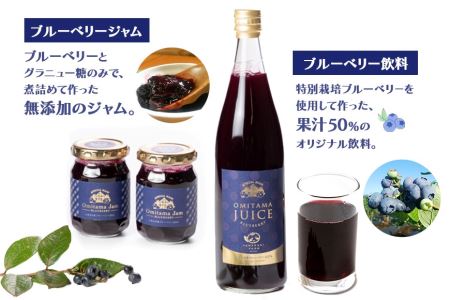 果汁50％ブルーベリー飲料1本＆ブルーべリ－ジャム2個セット ブルーベリー ジュース ジャム ブルーベリージャム ブルーベリージュース フルーツ ビタミンE ドリンク 栄養 目にいい 美容 ギフト 贈