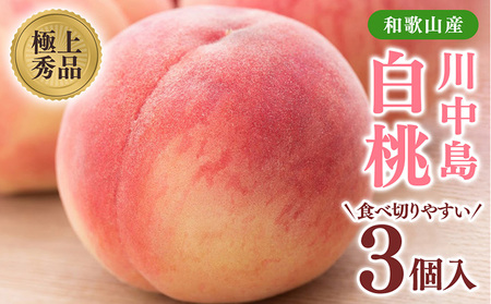 桃【川中島白桃】大玉特秀品 食べきりやすい 3個入り こだわり農家厳選! ｜ 白桃