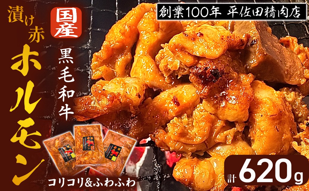 
            【数量限定】漬け赤ホルモン620g コリコリミックス（210g×2P）ふわふわ牛腸（200g×1P） 焼肉 BBQ 人気 ホルモン ホルモン焼き ホルモン肉 味付きホルモン 味付けホルモン 味付き肉 ほるもん 焼肉用ホルモン 冷凍ホルモン 
          