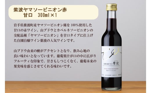 産地限定 ワインぶどう品種使用 ワインミニボトル ２本セット 甘口 ふるさと納税 紫波町産 テロワール ワイン (AL057-2)
