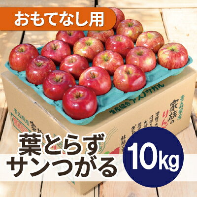 【ふるさと納税】【26年9月より順次発送】平均糖度12度以上!葉とらずサンつがる約10kg おもてなし用 クール便【配送不可地域：離島・沖縄県】【1611761】