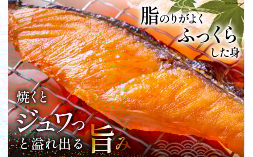 定期便 《3ヶ月連続お届け》 訳あり 銀鮭 切身 約2kg×3回 計6kg [宮城東洋 宮城県 気仙沼市 20564481] 鮭 海鮮 規格外 不揃い さけ サケ 鮭切身 シャケ 切り身 冷凍 家庭用 訳アリ おかず 弁当 支援 事業者支援