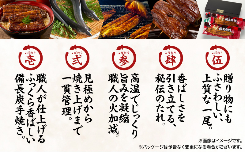 うなぎ問屋の備長炭手焼うなぎカット 2枚入×4袋 計250g　KN029-003-06【大隅うなぎ販売有限会社】