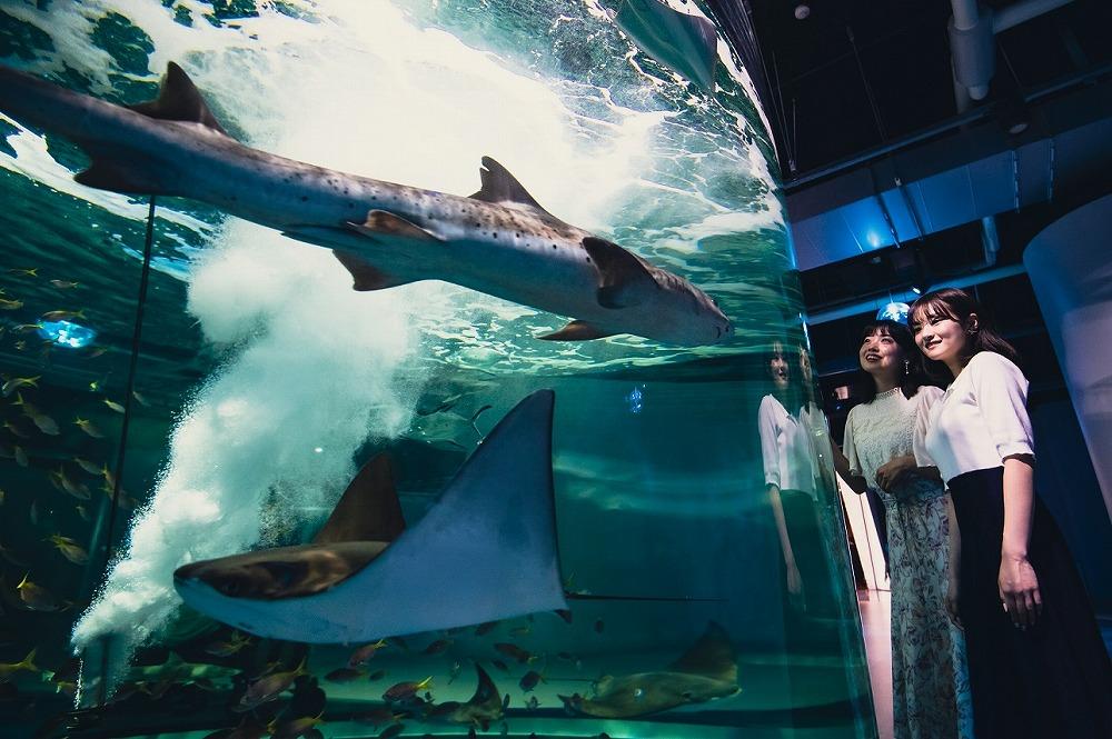 AQUARIUM × ART atoa（アトア）入場引換券（2名様）