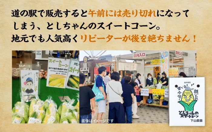 道の駅で午前中に完売する地元の人気者