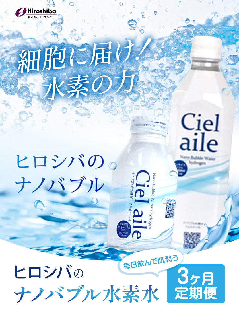 【3ヶ月定期便】ナノバブル水素水 ペットボトル(約500ml)×24本 株式会社ヒロシバ《30日以内に出荷予定(土日祝除く)》大阪府 羽曳野市 送料無料 水素水 肌 美容 健康 水---habikino_hro_4_tei_ko---