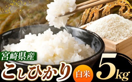 令和7年産 こしひかり 5kg （白米） 宮崎県産 | 米 こめ お米 おこめ 精米 白米 宮崎県 五ヶ瀬町