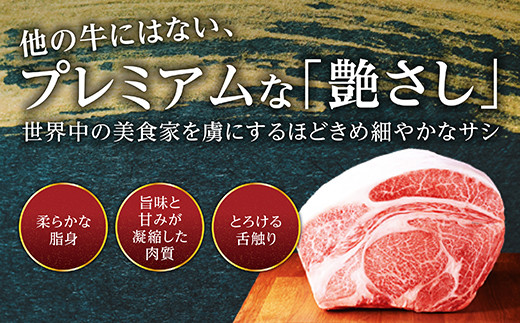 佐賀牛 ハンバーグ 150g×15パック 計2250g 牛肉 ブランド牛 黒毛 和牛 上質 はんばーぐ 惣菜 D-294