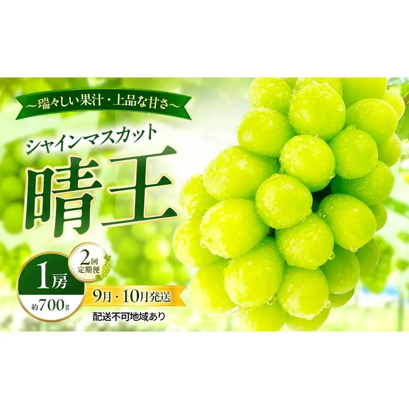 ぶどう 2026年 先行予約 定期便 シャインマスカット 晴王 1房 約700g 9月・10月 2回発送 岡山県産 種無し 皮ごと食べる みずみずしい 甘い 瀬戸内 晴れの国 おかやま 果物大国 満天フルーツ