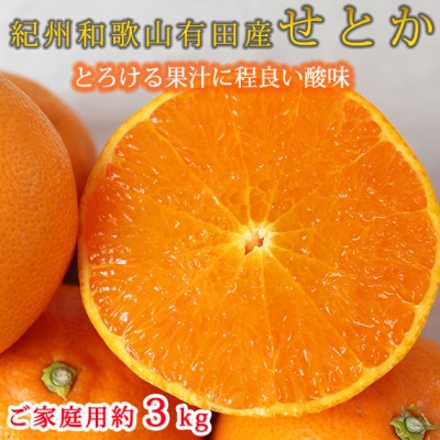 【ご家庭用訳あり】紀州和歌山産　せとか　約3kg【配送不可地域：離島】【1560380】
