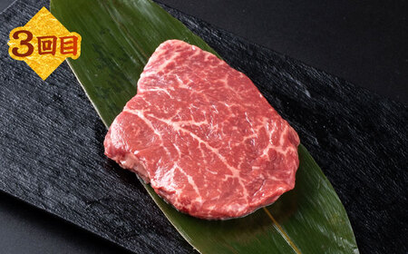【全3回定期便】熊本 あか牛 特選 計約3.5kg ヒレ サーロイン 牛タン ミニステーキ【合同会社 たべたせいか】[AYCB003]