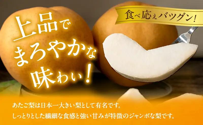 梨 フルーツ あたご梨 岡山県産 梨【3～9玉 約4kg】【先行予約】