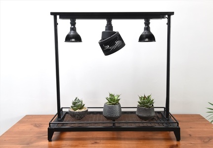 ライティングレール付き植物棚 ボタニカルラック Wstandard 〈丹波市〉 インテリア 家具