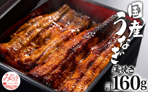 国産うなぎ 蒲焼き 計160g 冬うなぎ_M248-002