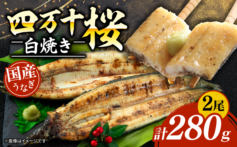 【贈答用】極上国産うなぎ四万十桜　白焼き約140g×2尾 | うなぎ 鰻 白焼き 国産 四万十鰻 蒲焼き 調理済み タレ付き ギフト（お歳暮/お正月）高級 お取り寄せ グルメ 食べ比べ 冷凍 家庭用 贈答用
