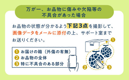 【訳あり】＜先行予約＞ 【2024年6月中旬-7月初旬順次発送】 タカミメロン  約5kg（3～5玉） フルーツ 果物 国産 小値賀町/ながさき西海農協小値賀地区園芸部会 [DAT003] [DAT0