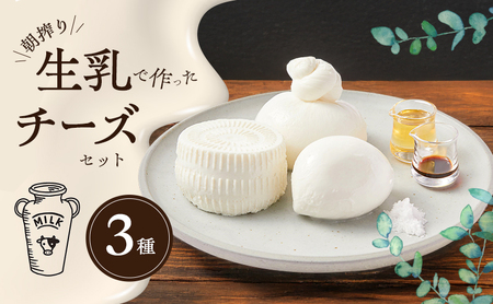 朝搾り生乳で作った 3種のチーズ セット チーズ＆ピザワークス チーズ 生乳 兵庫県 洲本市 淡路島