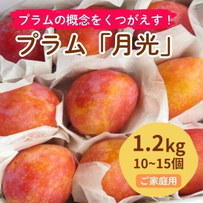ふるさと納税 上山市 プラム(月光)1.2kg　ご家庭用　0075-2603