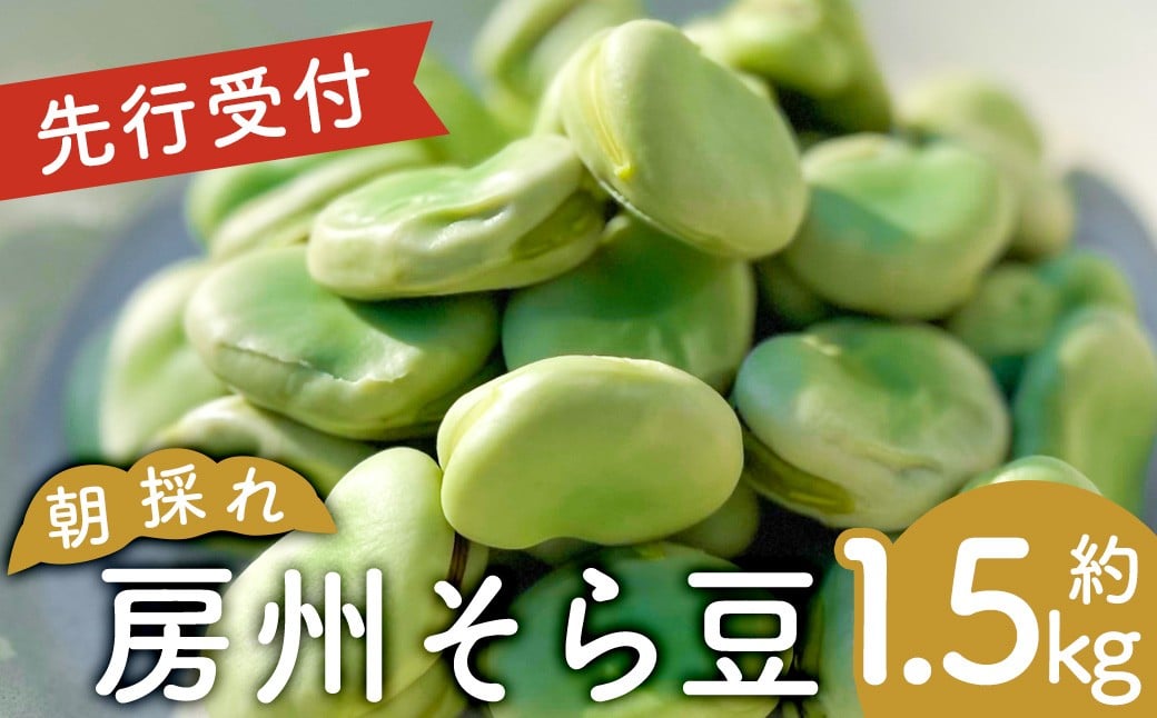 朝採れ房州そら豆1.5kg
